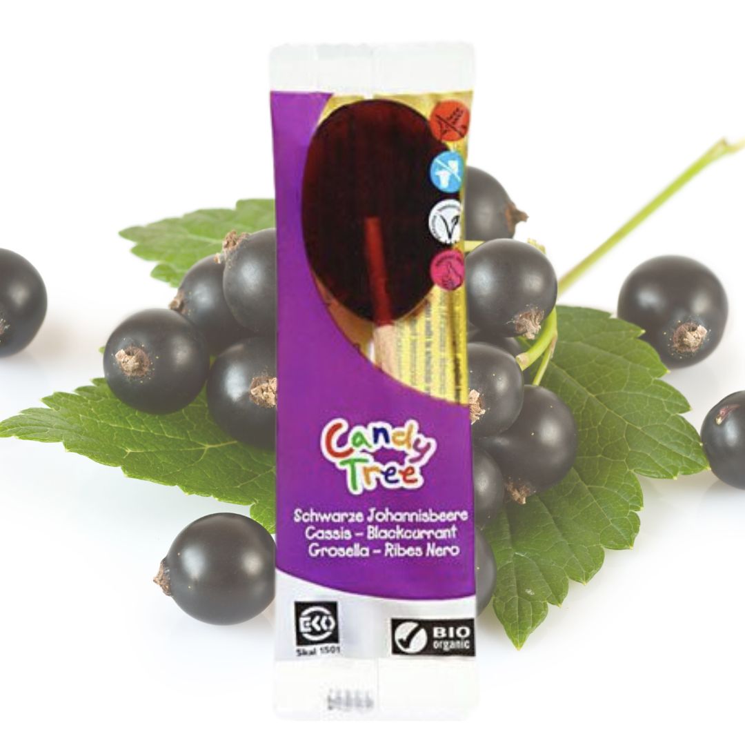 Organic Lollipop - Blackcurrant 13g / BB. 31/10/2023